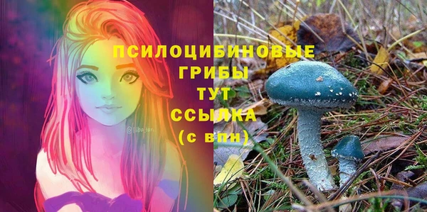 твердый Кинешма