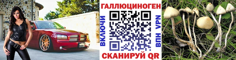 Купить закладки  Беслан  Галлюциногенные грибы Psilocybine cubensis 